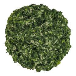 WEŁNIANE DROBINKI WOOL NEPPS - ZIOŁOWA ESENCJA (nr 14)